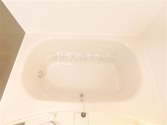 アピチェ池上の浴室