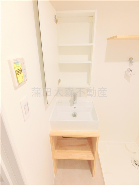 アピチェ池上の洗面所