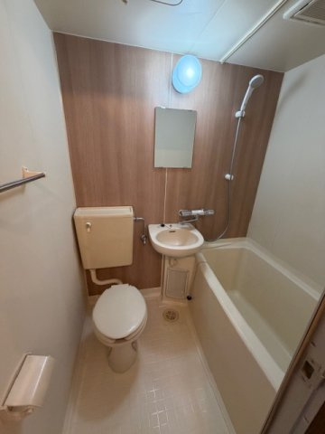 フライハイト麻郷のトイレ|落ち着いた色調のトイレです