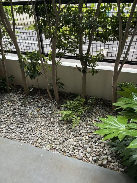 エミナンス片倉の庭