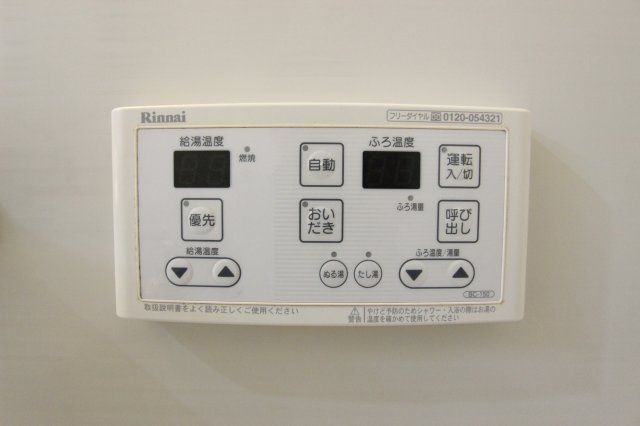 ピエナのその他