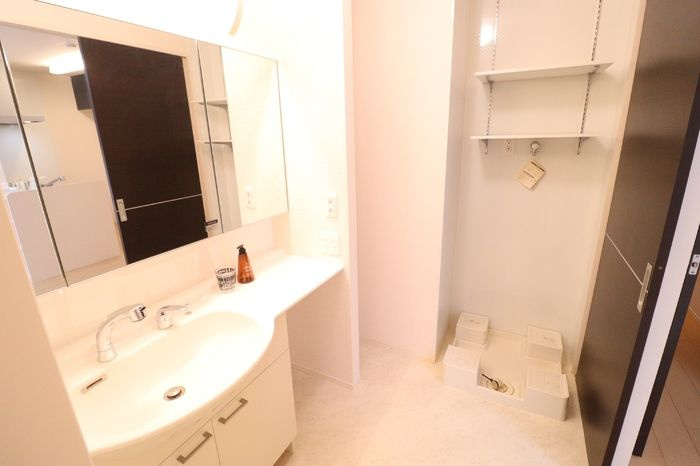 カメリア　Ｂ棟の洗面所|コンパクトで使いやすい洗面所