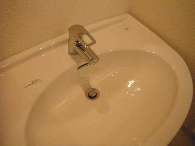 サンパレス駒込壱番館の洗面所