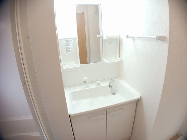 メゾン　サカエの洗面所