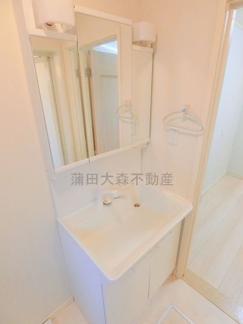 リエゾン池上の洗面所