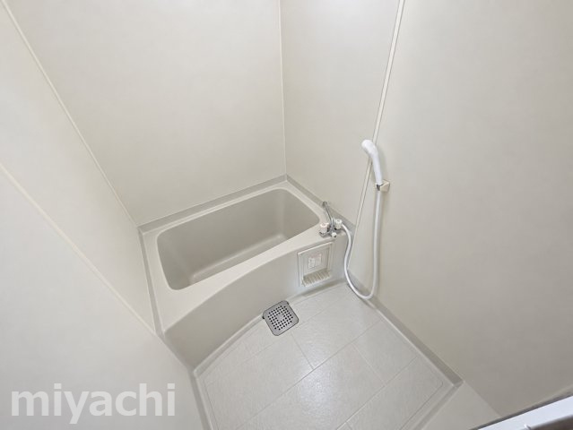 ヴィゴラスビルの浴室
