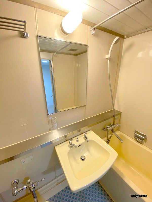 ステュディオ新大阪　仲介手数料無料の洗面所