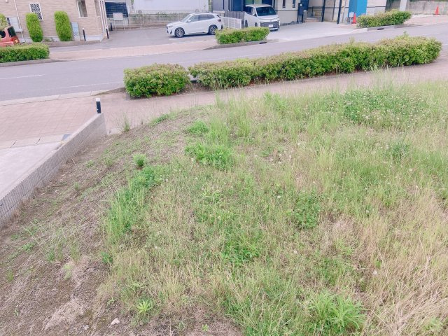 常滑市明和町5丁目の外観