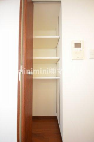 大阪市西区新町１丁目の賃貸マンションの収納