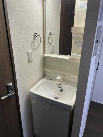 ロワール生麦　弐番館の洗面所
