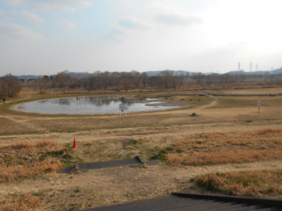 多摩川親水公園まで600m