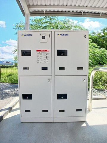 モーニング　グローリーのその他
