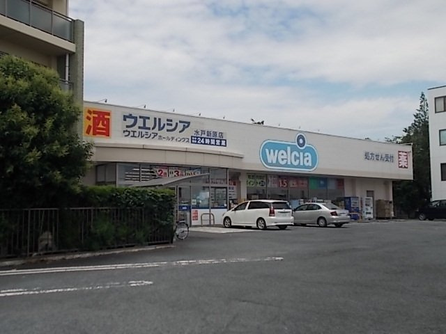 メゾンド　フルールの周辺|ウエルシア水戸新原店まで250m