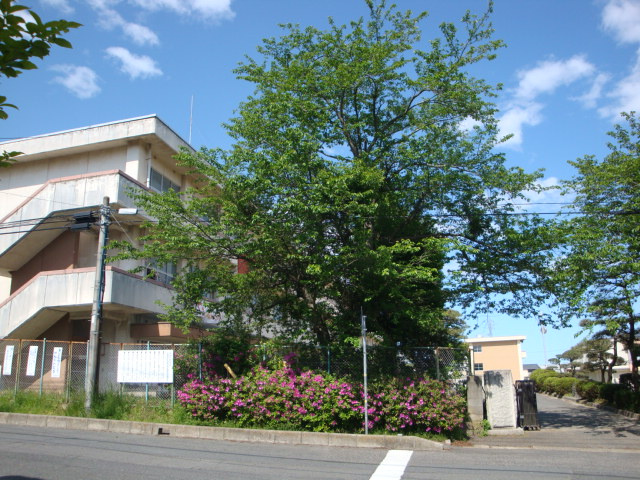 フォルトゥナ（Fartuna）の周辺|日立市立久慈中学校まで959ｍ
