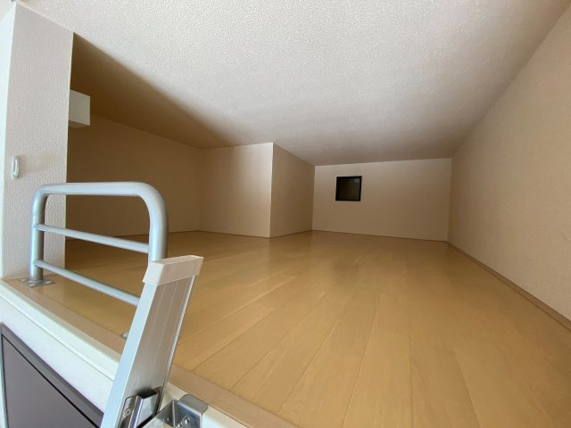 レオネクストグラシューズのその他