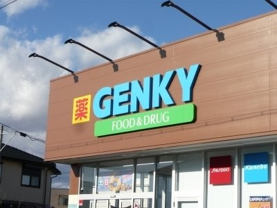 ブルーコルモの周辺|ゲンキー東野店まで700m