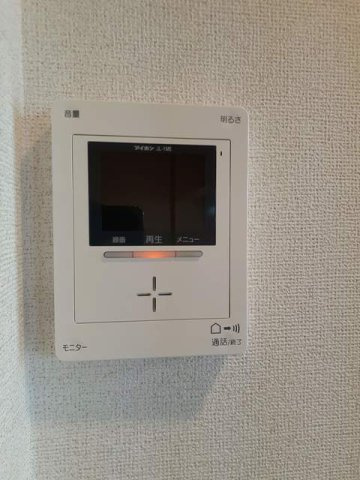フリーデモリヤ　Ｂのその他