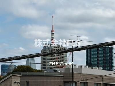 港区南麻布３丁目の賃貸マンションの展望