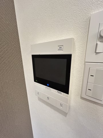 フィレンツェのセキュリティ