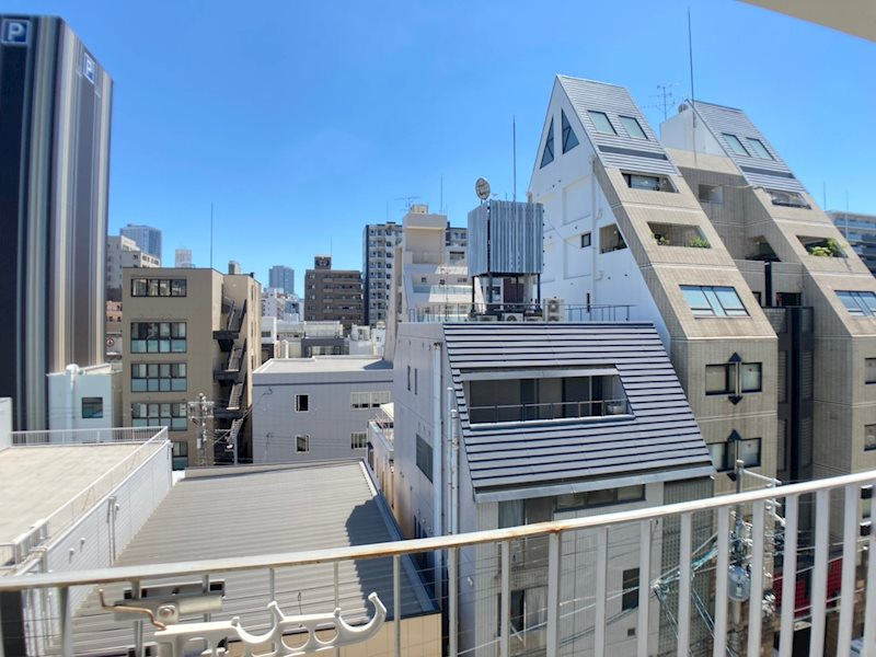 ideosの展望