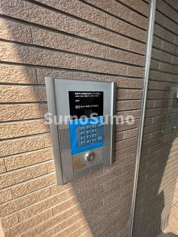 アクシスのその他