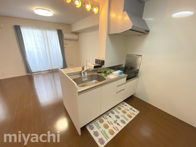 アーバンコート沖洲　2番館のキッチン