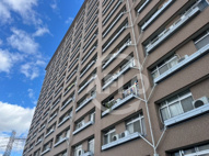中津リバーサイドコーポA棟　中津小学校区の画像