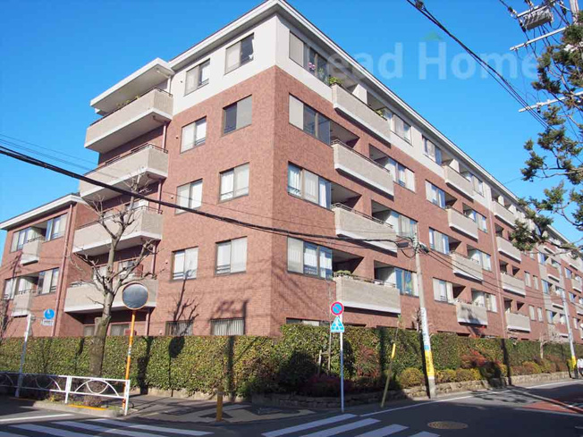 【外観】 | 碑文谷ヒルズサレジオ通り