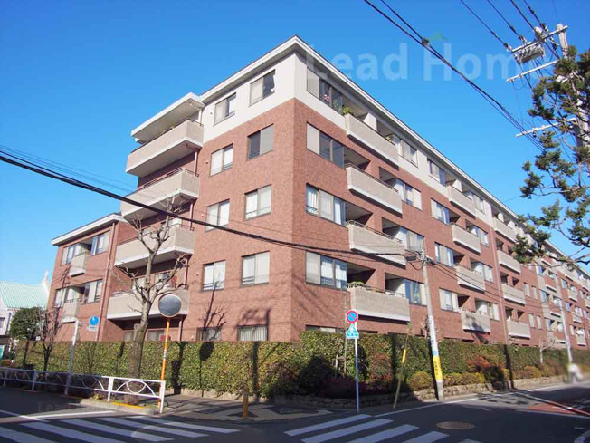 【外観】 | 碑文谷ヒルズサレジオ通り