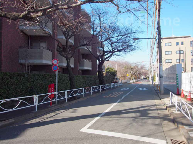 【その他】 | 碑文谷ヒルズサレジオ通り | 前面道路
