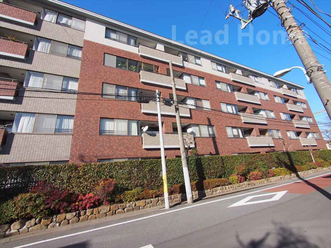 【外観】 | 碑文谷ヒルズサレジオ通り | きれいに手入れされた植栽の緑が広がる上品な外観です！青空とのコントラストが美しく毎日を爽やかに彩ります♪