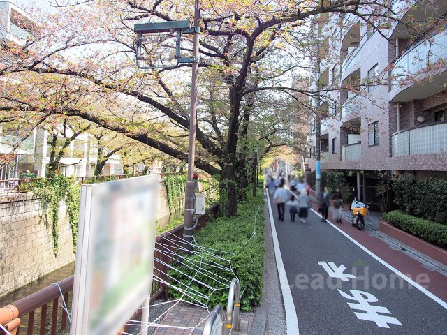 【その他】 | クレッセント目黒青葉台 | 春には桜が楽しめる緑豊かな遊歩道！歩道が整備されているため毎日のお散歩や通勤も快適で安心です♪