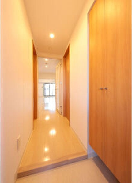 RESIDENCE DRACAENA(レジデンスドラセナ)の玄関