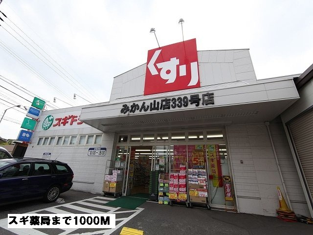 メゾン　サカエの周辺|スギ薬局まで1000m