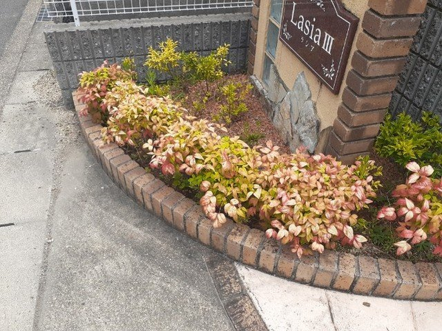 ラシアⅢのその他