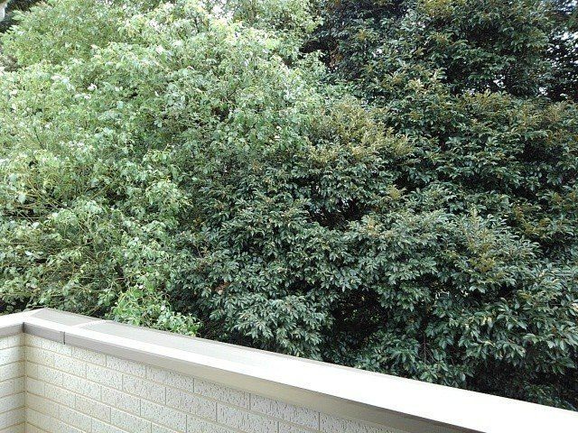 ピアッツァ　梶山の展望
