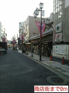 ウィステリア西横浜の周辺|商店街まで0m