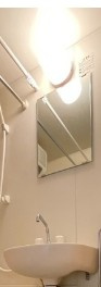 シャンテ東向島Ⅱの洗面所