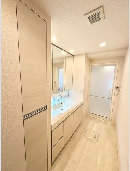 プレミアシティ桜山の洗面所