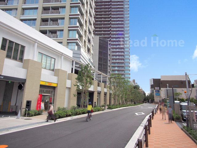 【その他】 | シティタワー武蔵小山 | 前面道路歩道がきれいに整備された幅員の広い前面道路です！見通しが良くお子様とのお散歩も安心感がありますね♪