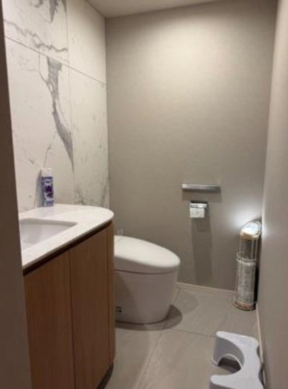 【トイレ】 | ドムス元麻布 | 専用の手洗いカウンターや鏡が備わったトイレです！清潔感のある空間で来客時にも気持ちよく使えます♪