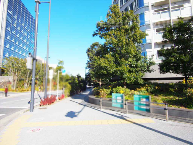 【その他】 | 二子玉川ライズタワー＆レジデンスタワーウエスト | 前面道路