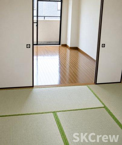 【その他】 | リベラルワタド