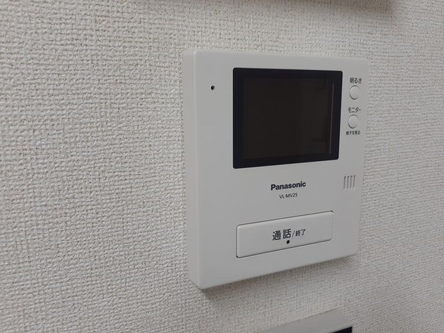 プラシード・ピアッツァのセキュリティ