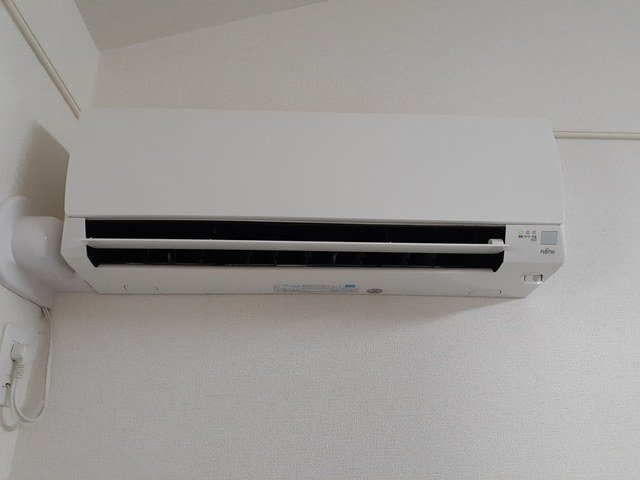 プラシード・ピアッツァのその他
