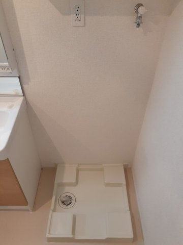 アムールのその他