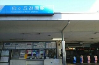グランデ　ミナミⅡの周辺|向ヶ丘遊園駅まで250m