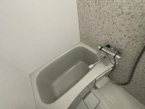 ディアレイシャス泉の浴室|バス