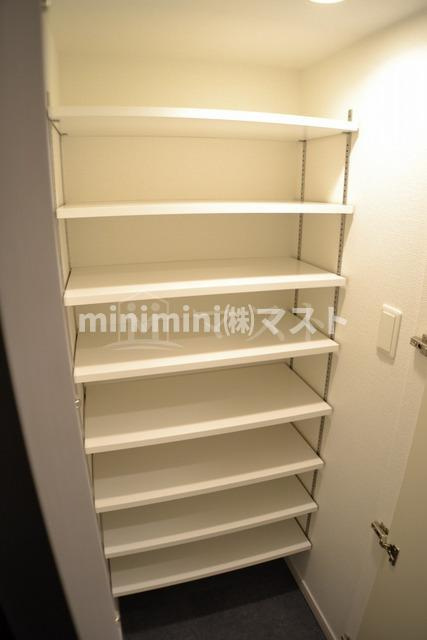 大阪市西区川口３丁目の賃貸マンションの収納