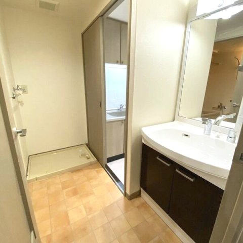 PHOENIX COURT 交野Ⅱの洗面所